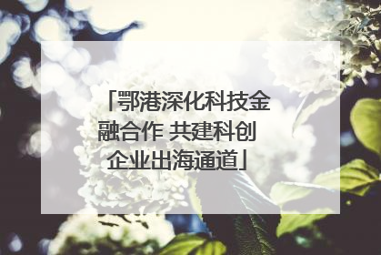 鄂港深化科技金融合作 共建科创企业出海通道