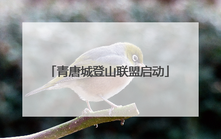 青唐城登山联盟启动