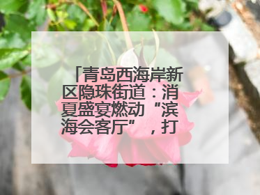 青岛西海岸新区隐珠街道：消夏盛宴燃动“滨海会客厅”，打造全天候、全龄段消费生态圈