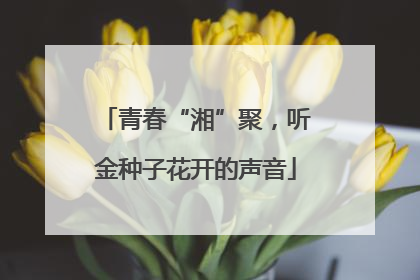 青春“湘”聚，听金种子花开的声音