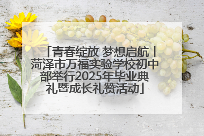青春绽放 梦想启航丨菏泽市万福实验学校初中部举行2025年毕业典礼暨成长礼赞活动