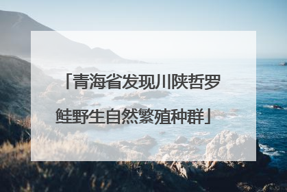 青海省发现川陕哲罗鲑野生自然繁殖种群
