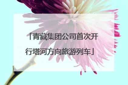 青藏集团公司首次开行塔河方向旅游列车