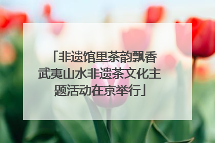 非遗馆里茶韵飘香 武夷山水非遗茶文化主题活动在京举行