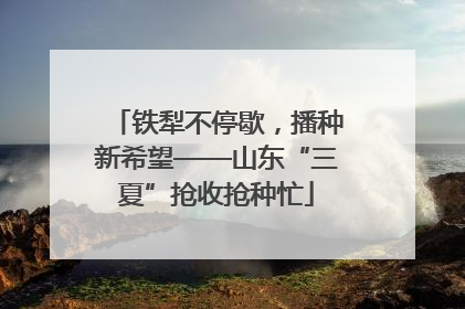 铁犁不停歇，播种新希望——山东“三夏”抢收抢种忙