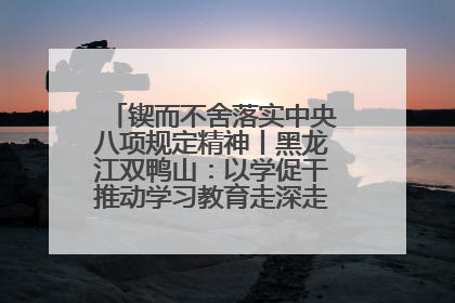 锲而不舍落实中央八项规定精神丨黑龙江双鸭山：以学促干推动学习教育走深走实 从小事入手写好“民生答卷”