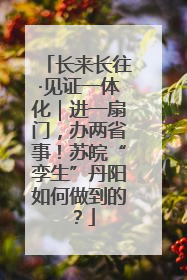 长来长往·见证一体化｜进一扇门，办两省事！苏皖“孪生”丹阳如何做到的？