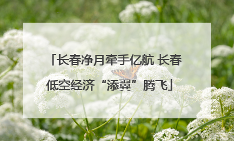 长春净月牵手亿航 长春低空经济“添翼”腾飞