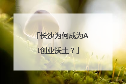 长沙为何成为AI创业沃土？