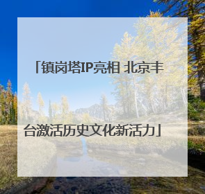 镇岗塔IP亮相 北京丰台激活历史文化新活力