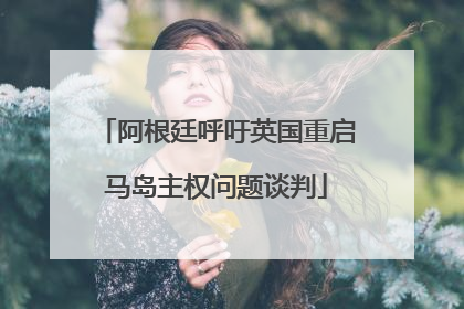 阿根廷呼吁英国重启马岛主权问题谈判
