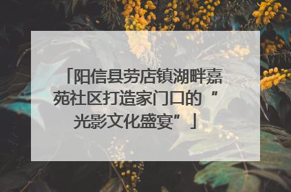 阳信县劳店镇湖畔嘉苑社区打造家门口的“光影文化盛宴”