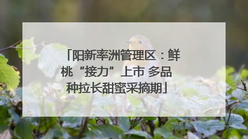 阳新率洲管理区：鲜桃“接力”上市 多品种拉长甜蜜采摘期