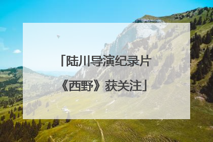 陆川导演纪录片《西野》获关注