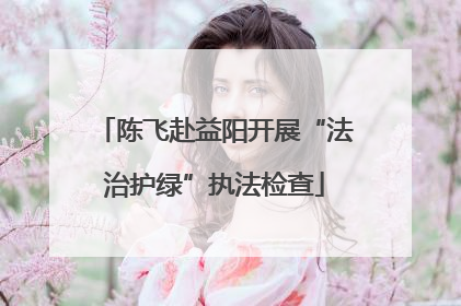 陈飞赴益阳开展“法治护绿”执法检查