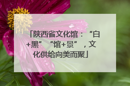 陕西省文化馆：“白+黑”“馆+景”，文化供给向美而聚