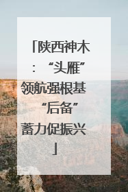 陕西神木：“头雁”领航强根基 “后备”蓄力促振兴