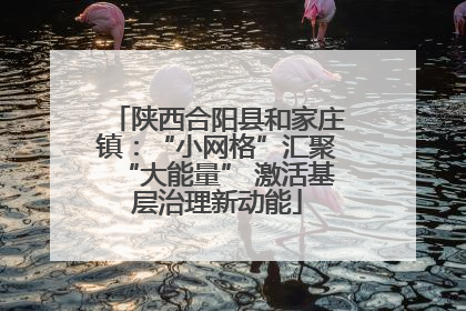 陕西合阳县和家庄镇：“小网格”汇聚“大能量” 激活基层治理新动能