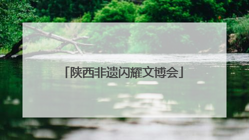 陕西非遗闪耀文博会