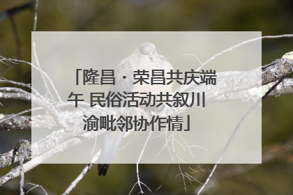 隆昌・荣昌共庆端午 民俗活动共叙川渝毗邻协作情
