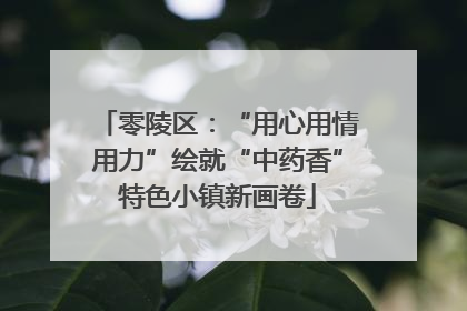 零陵区：“用心用情用力”绘就“中药香”特色小镇新画卷