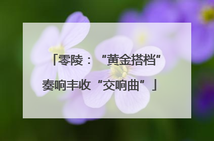 零陵：“黄金搭档”奏响丰收“交响曲”