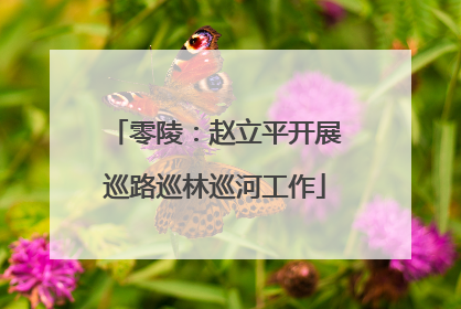 零陵：赵立平开展巡路巡林巡河工作