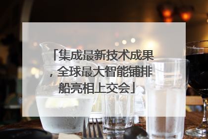 集成最新技术成果，全球最大智能铺排船亮相上交会