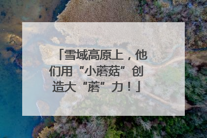 雪域高原上，他们用“小蘑菇”创造大“蘑”力！