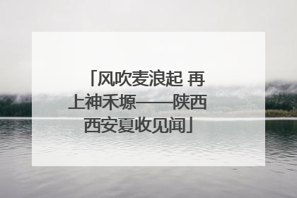 风吹麦浪起 再上神禾塬——陕西西安夏收见闻