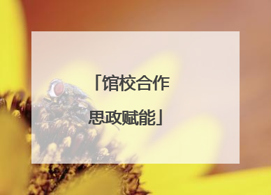 馆校合作 思政赋能