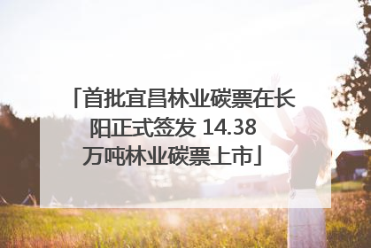 首批宜昌林业碳票在长阳正式签发 14.38万吨林业碳票上市