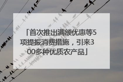 首次推出满额优惠等5项提振消费措施，引来300多种优质农产品