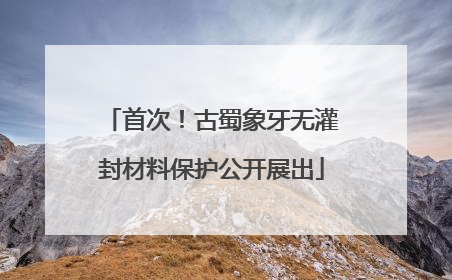 首次！古蜀象牙无灌封材料保护公开展出