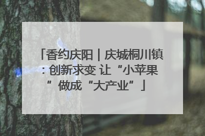 香约庆阳｜庆城桐川镇：创新求变 让“小苹果”做成“大产业”
