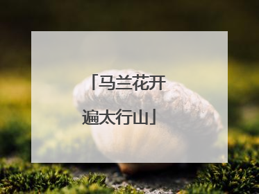 马兰花开遍太行山