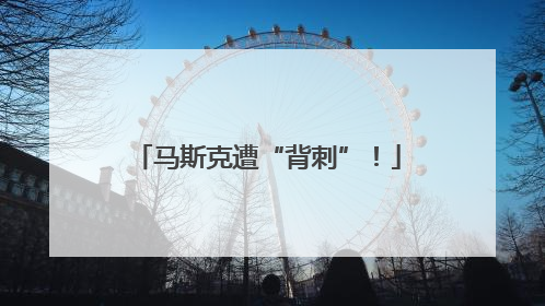 马斯克遭“背刺”！