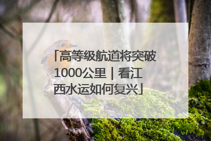 高等级航道将突破1000公里｜看江西水运如何复兴