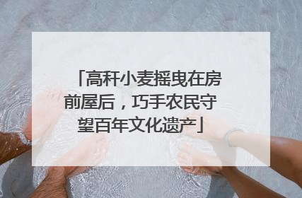 高秆小麦摇曳在房前屋后，巧手农民守望百年文化遗产