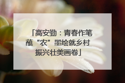 高安勤：青春作笔蘸“农”墨绘就乡村振兴壮美画卷