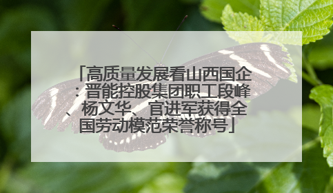 高质量发展看山西国企：晋能控股集团职工段峰、杨文华、官进军获得全国劳动模范荣誉称号
