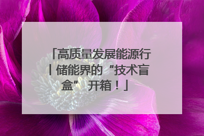 高质量发展能源行丨储能界的“技术盲盒” 开箱！