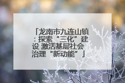 龙南市九连山镇：探索“三化”建设 激活基层社会治理“新动能”