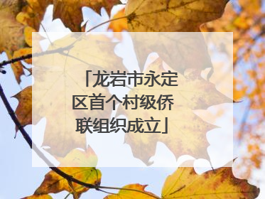 龙岩市永定区首个村级侨联组织成立
