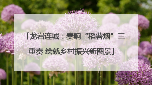 龙岩连城：奏响“稻薯烟”三重奏 绘就乡村振兴新图景