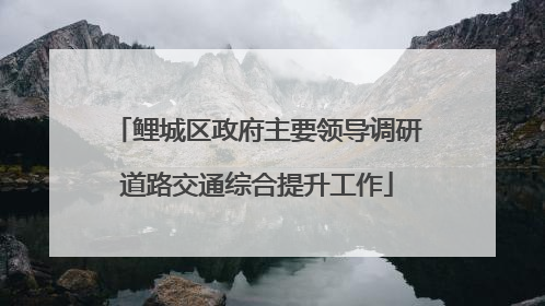 鲤城区政府主要领导调研道路交通综合提升工作