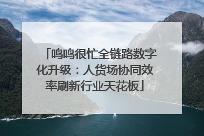 鸣鸣很忙全链路数字化升级：人货场协同效率刷新行业天花板