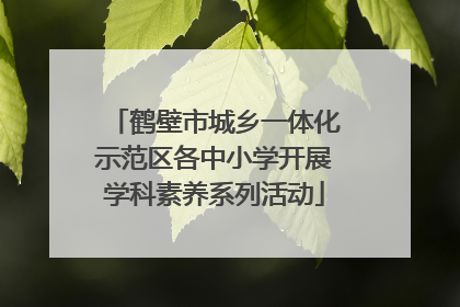 鹤壁市城乡一体化示范区各中小学开展学科素养系列活动