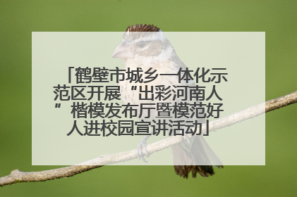 鹤壁市城乡一体化示范区开展“出彩河南人”楷模发布厅暨模范好人进校园宣讲活动