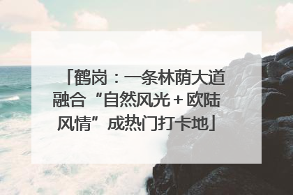 鹤岗：一条林荫大道融合“自然风光＋欧陆风情”成热门打卡地